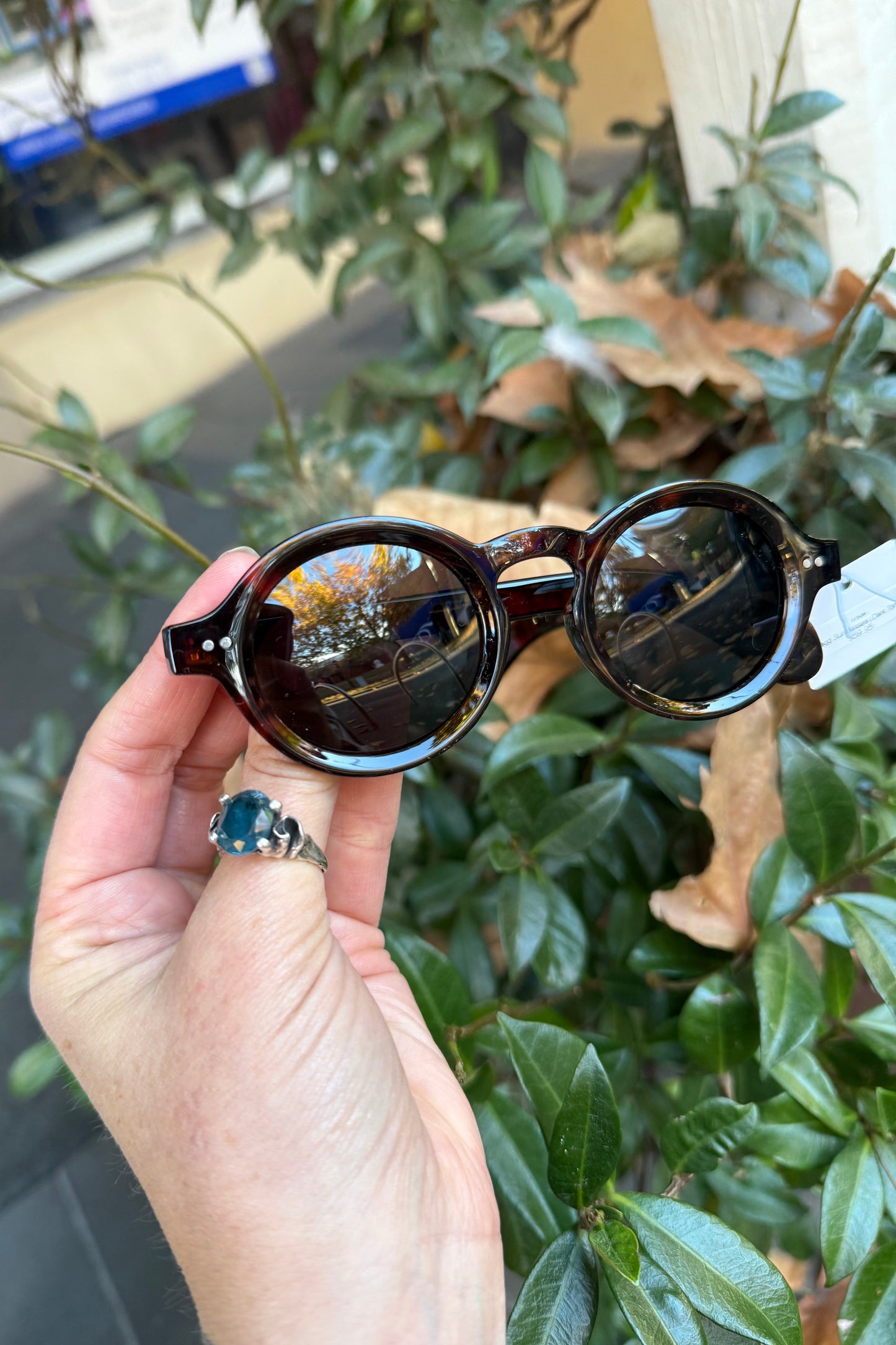 Jagg Sunglasses (Dark Tort)