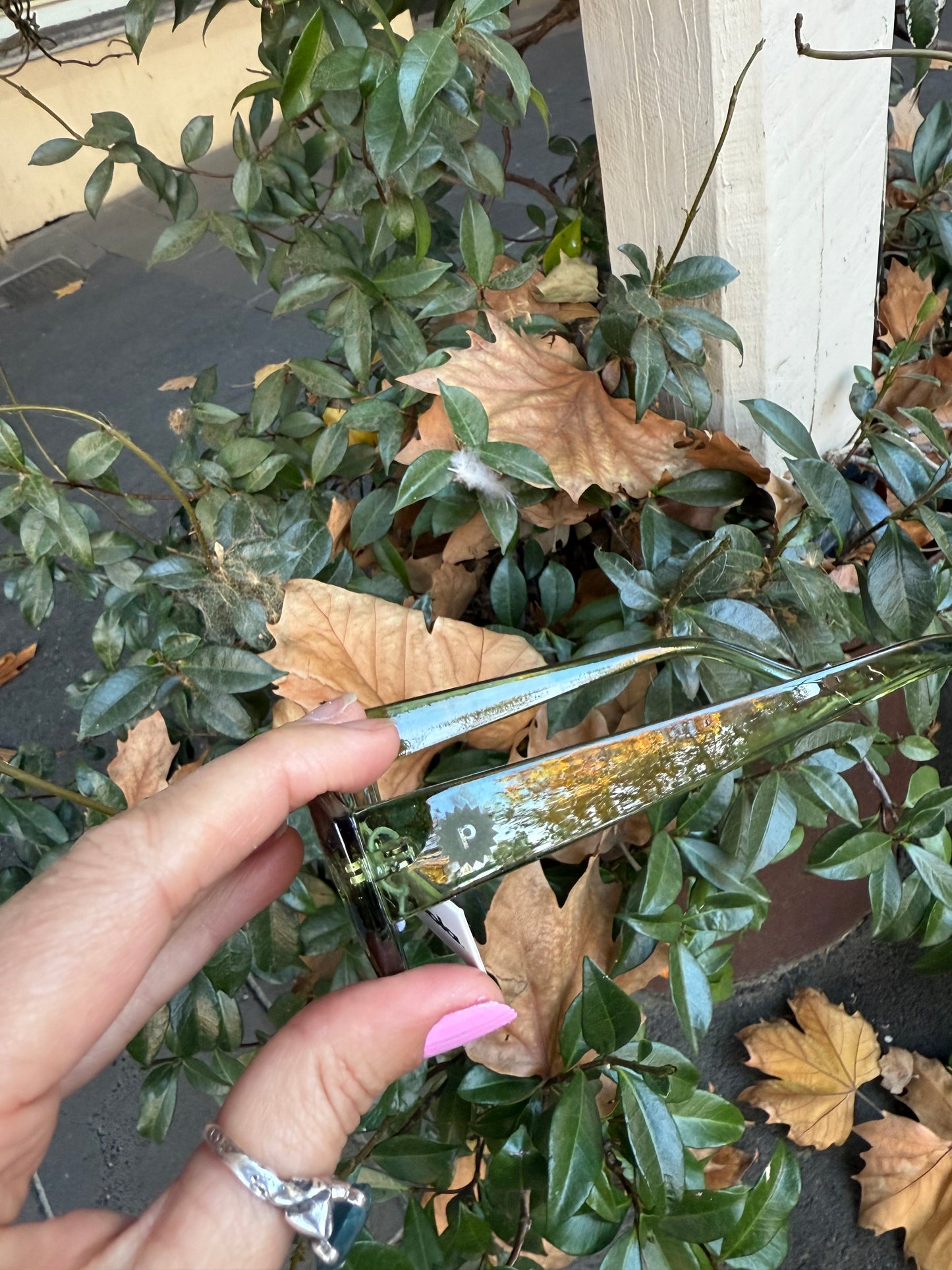 Oli Sunglasses (Grass)