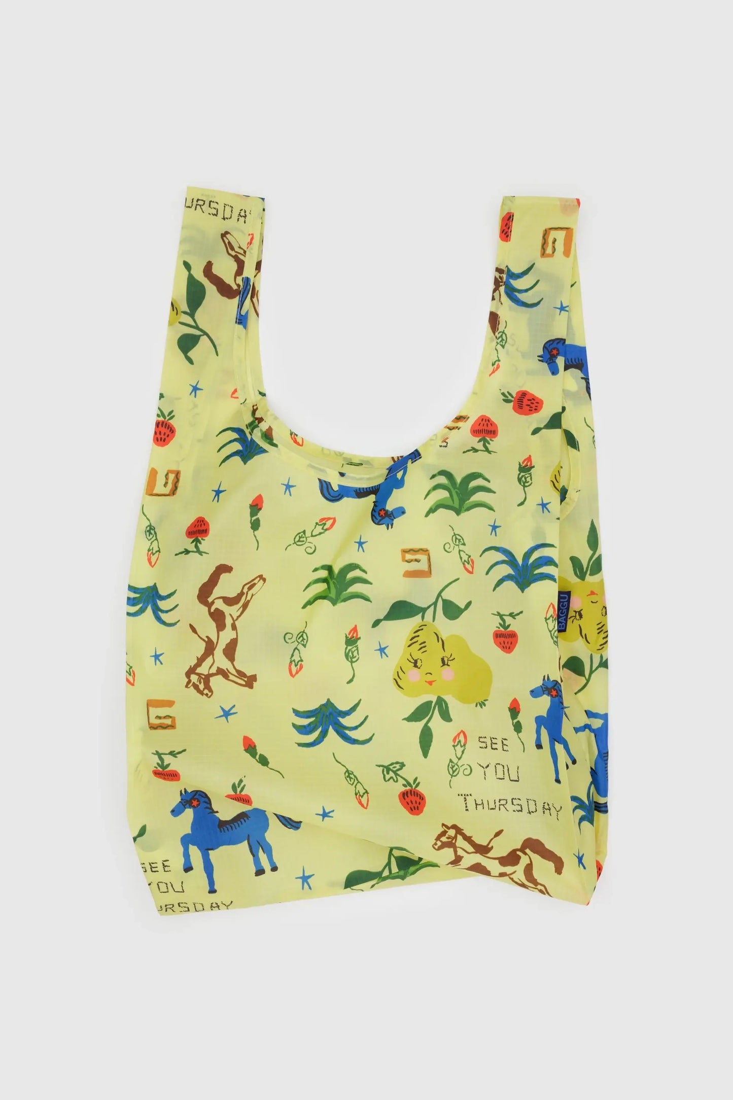 Reusable Carry Bag (Painted Prairie)