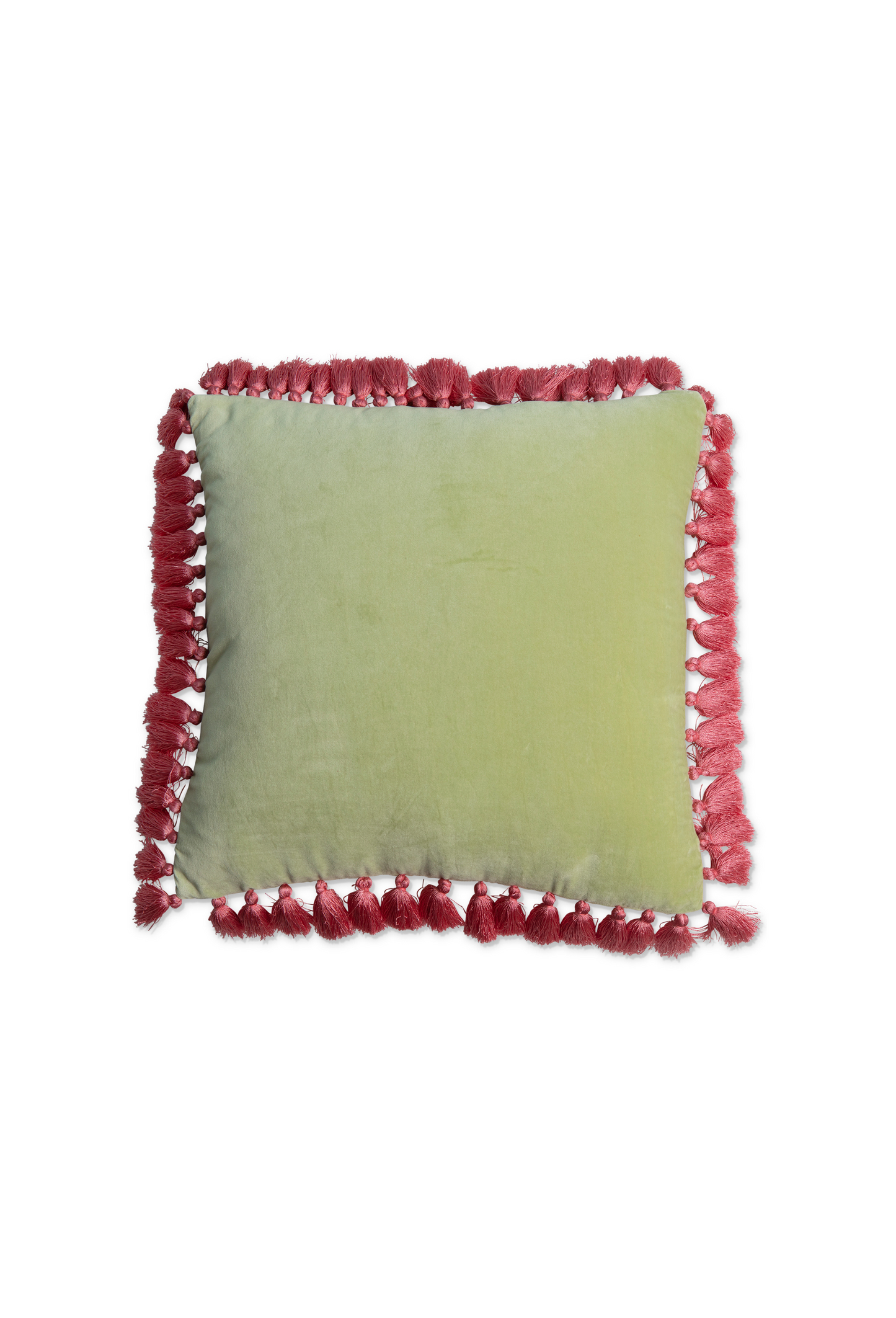 Aloe Velvet Tassel Cushion