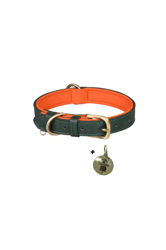 Oscar Leather Collar (Pine)