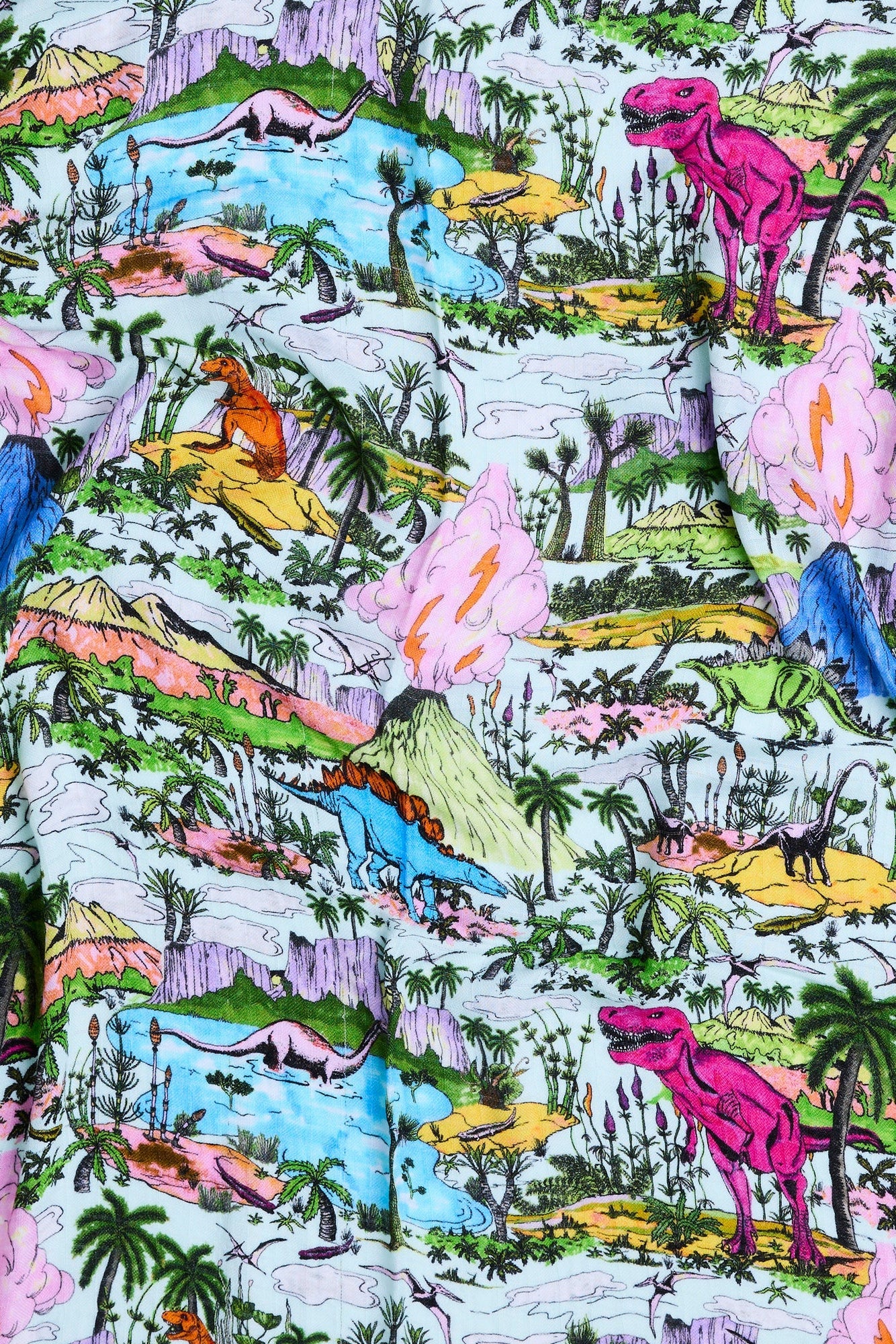 Jurassic Bamboo Swaddle