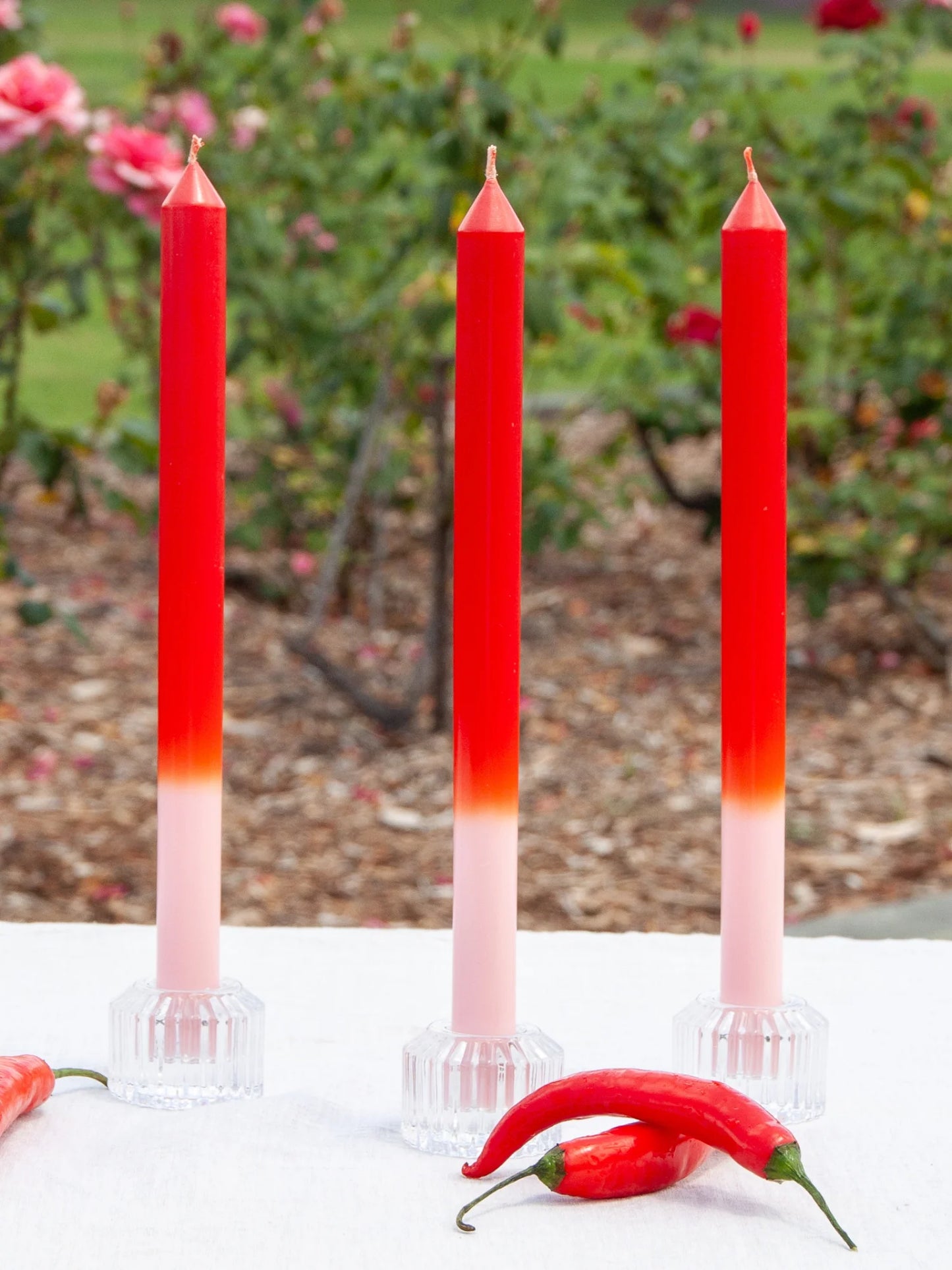 30cm Ombre Candle (Blush/Scarlet)