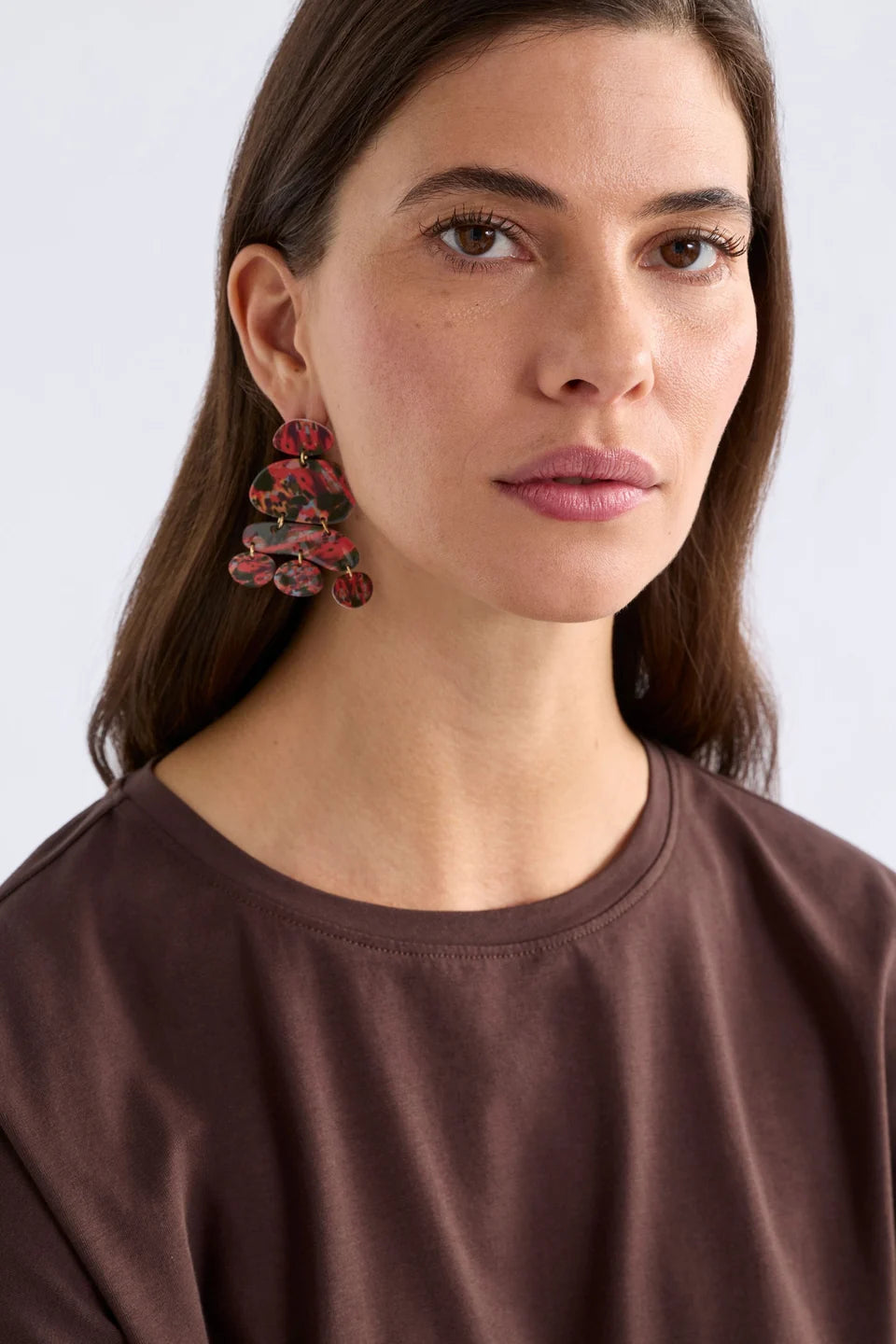 Mestedd Drop Earrings