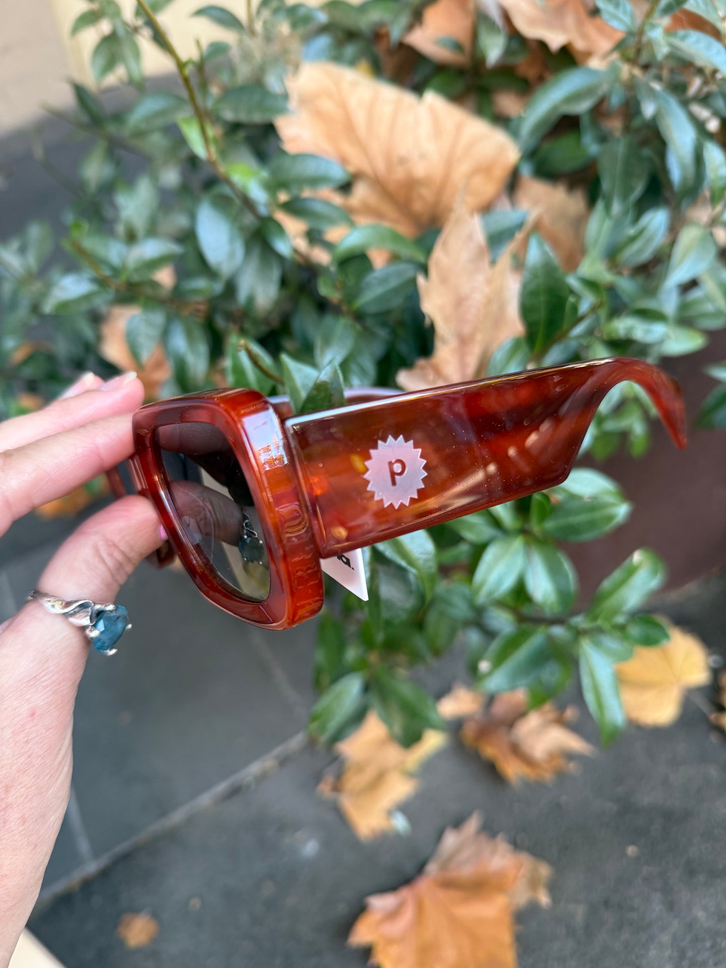 Jezebel Sunglasses (Merbau)