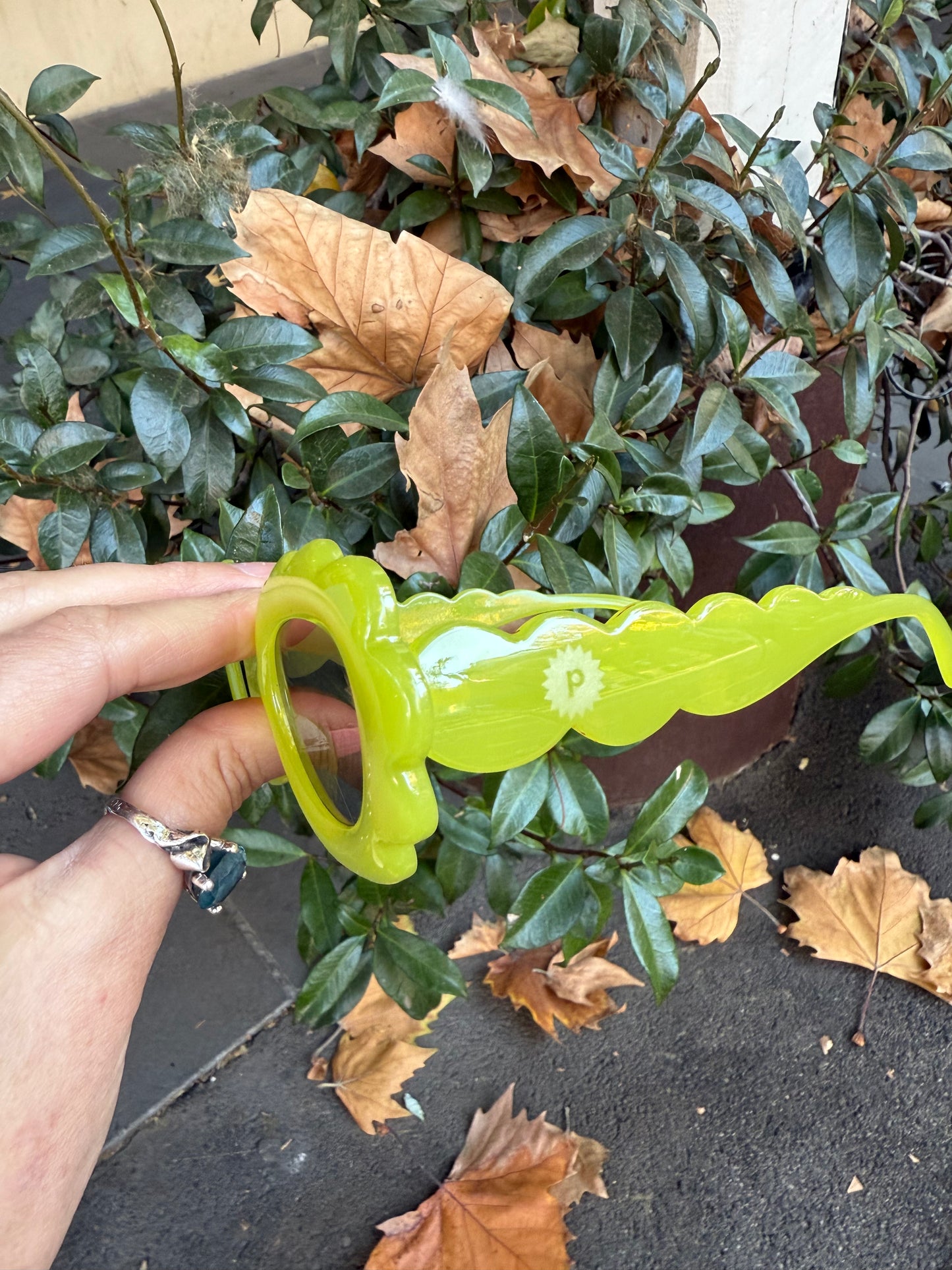 Joni Sunglasses (Lime)