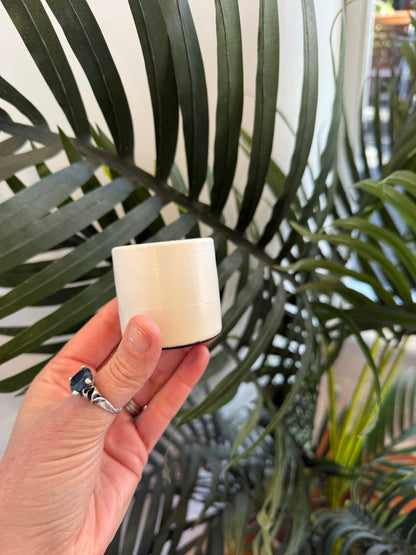 Ceramic Candle Holder Sml (White)