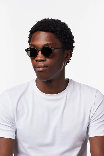 SHAPE #D Sun Reading Glasses (Tort)