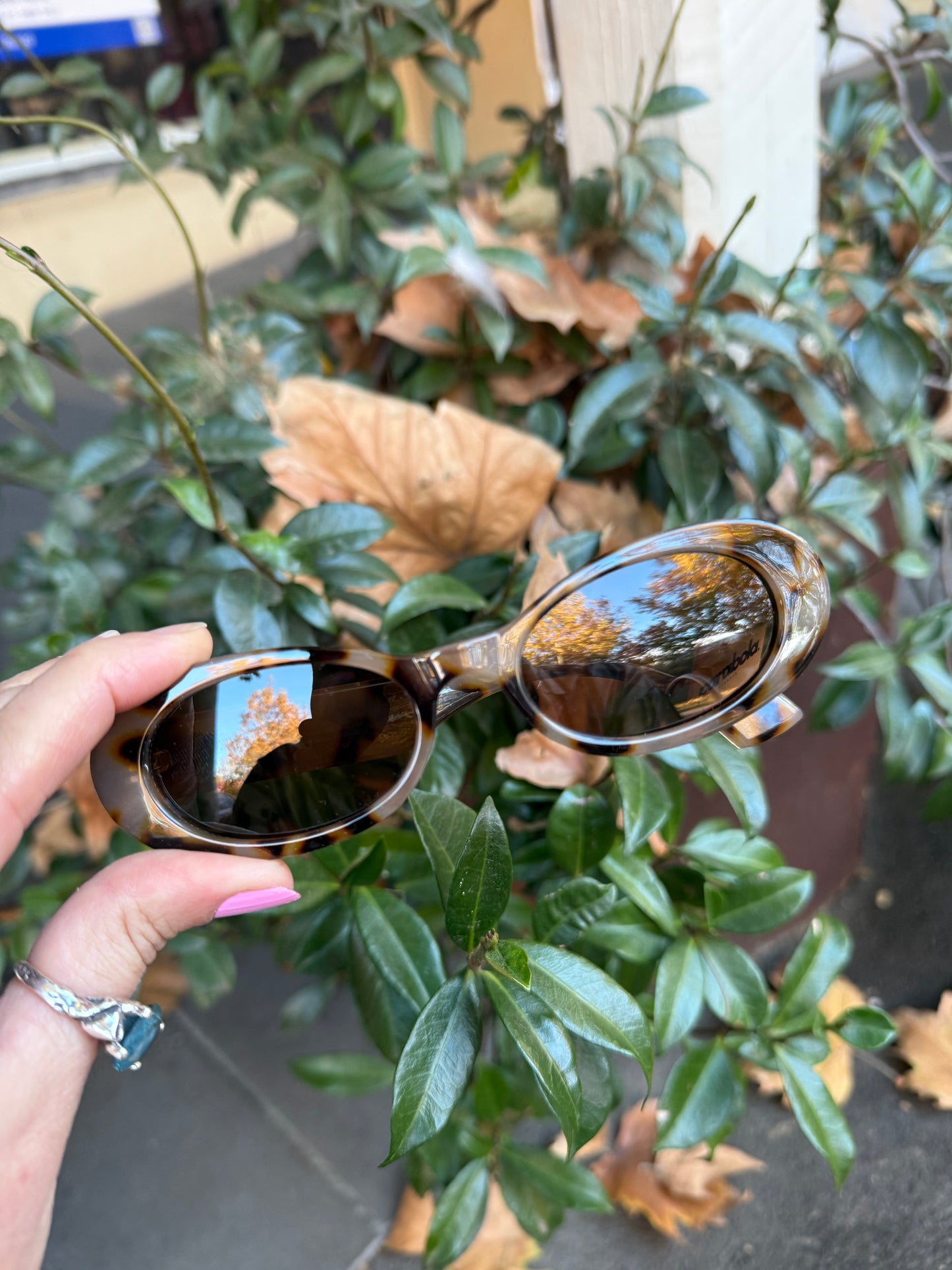 Pasha Sunglasses (Cookie Tort)