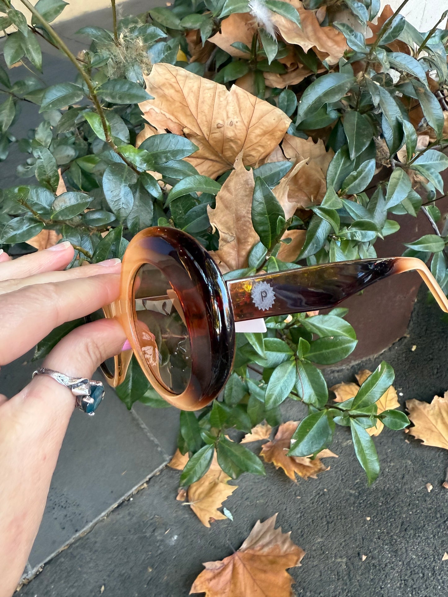 Vashti Sunglasses (Whiskey)