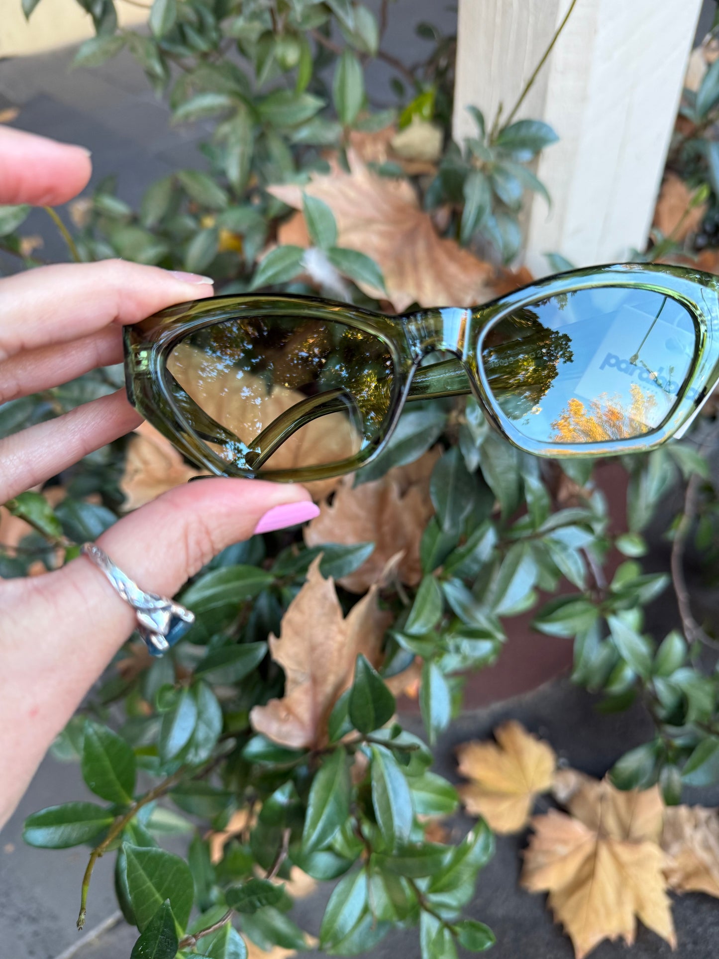 Oli Sunglasses (Grass)