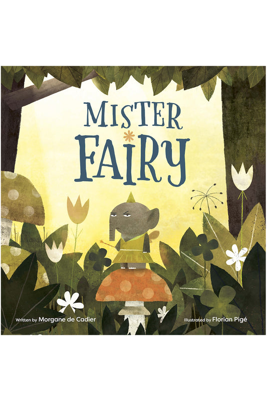 Mister Fairy