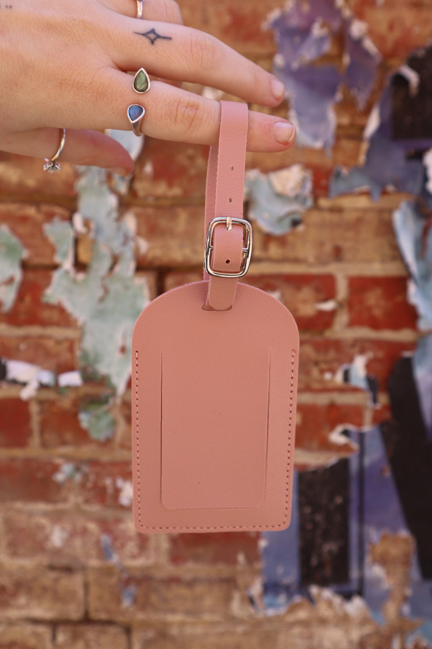 Albert Luggage Tag (Blush Pink)