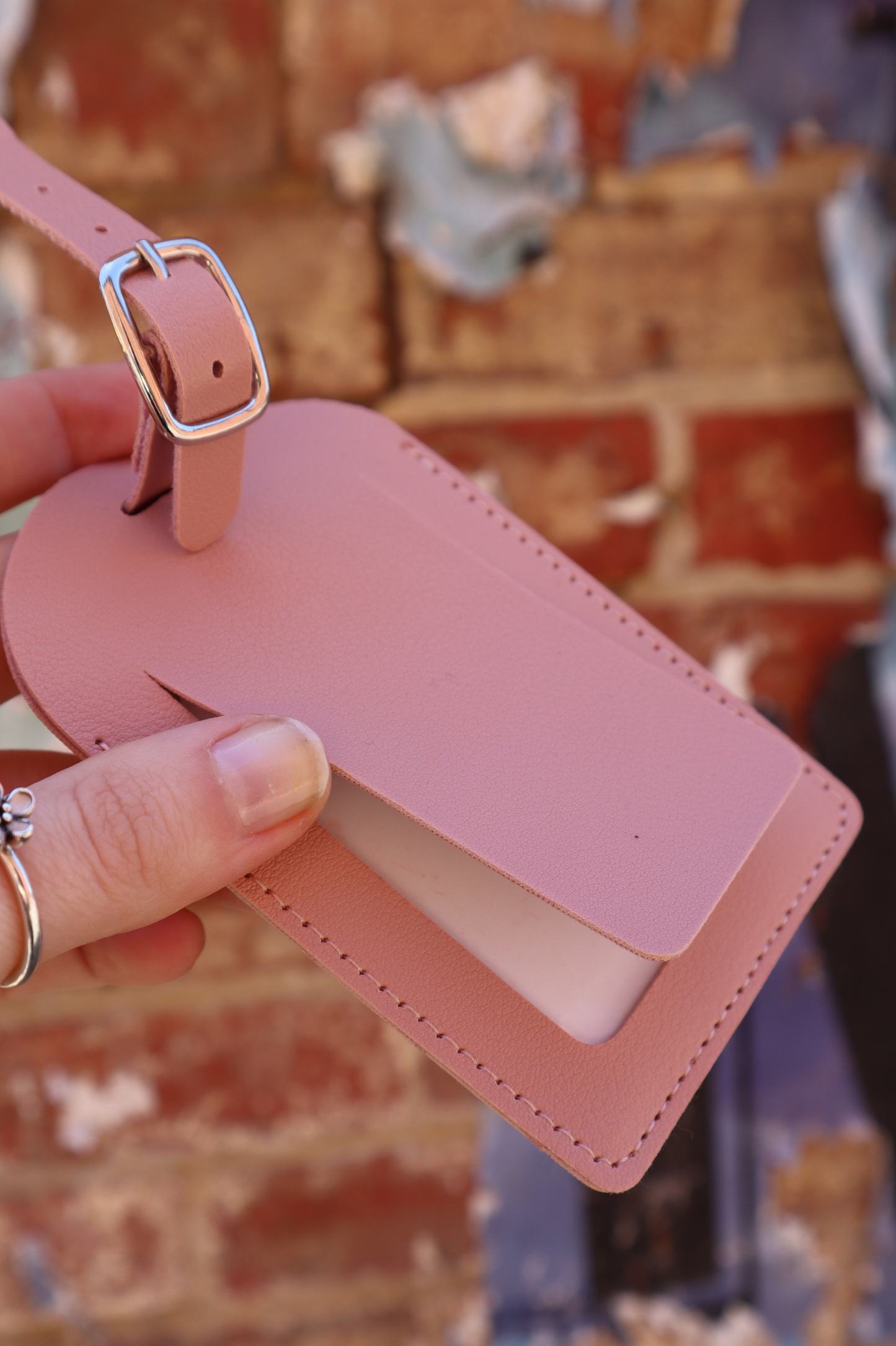 Albert Luggage Tag (Blush Pink)