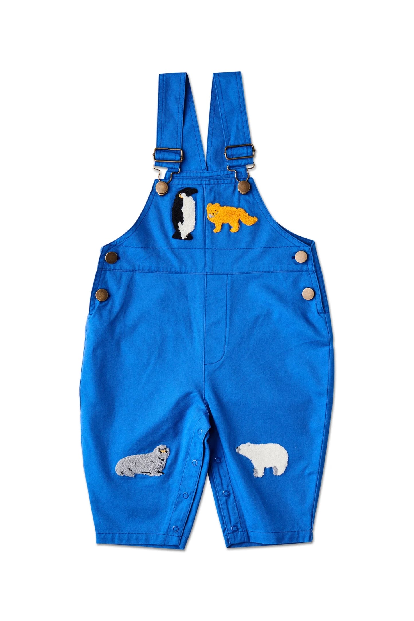 Arctic Circle Overalls