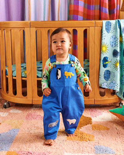 Arctic Circle Overalls