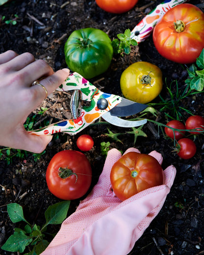 Stephanie's Harvest Garden Tools and Gloves Set